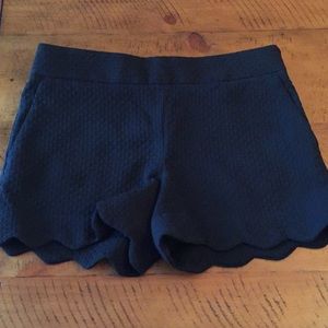 Ann Taylor Riviera Scallop hem shorts